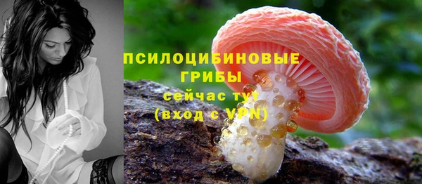 не бодяженный Медвежьегорск