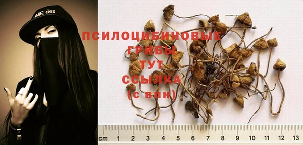 не бодяженный Медвежьегорск