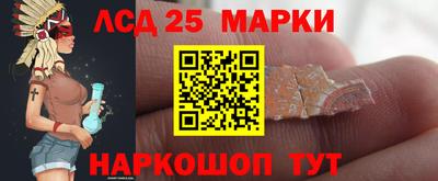 крисы Кингисепп