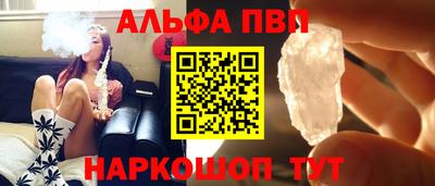 крисы Кингисепп