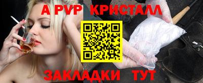 крисы Кингисепп