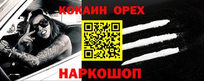 крисы Кингисепп