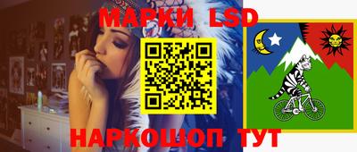 крисы Кингисепп
