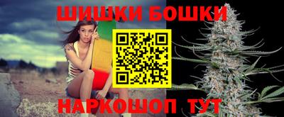 крисы Кингисепп