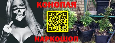 крисы Кингисепп