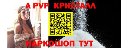крисы Кингисепп