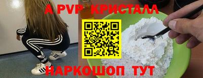 крисы Кингисепп