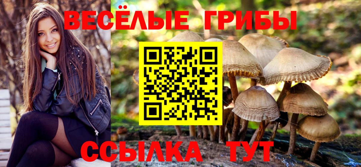 Псилоцибиновые грибы GOLDEN TEACHER  Псилоцибиновые грибы прущие грибы  Вход с VPN  Набережные Челны 